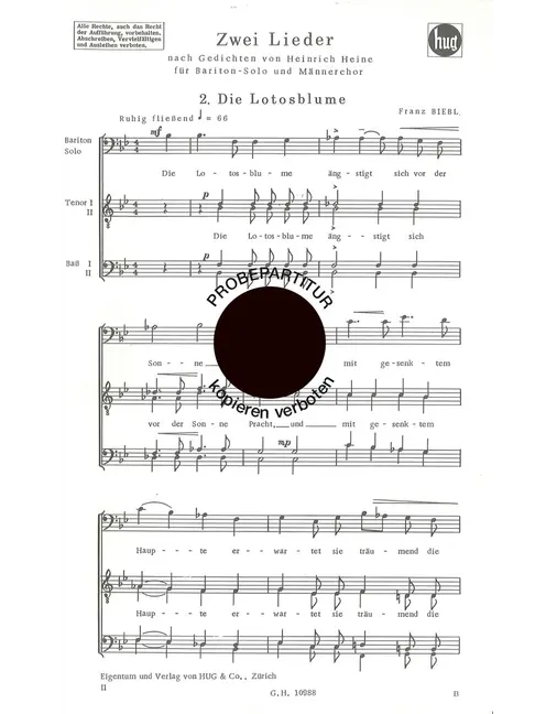 Lotosblume
